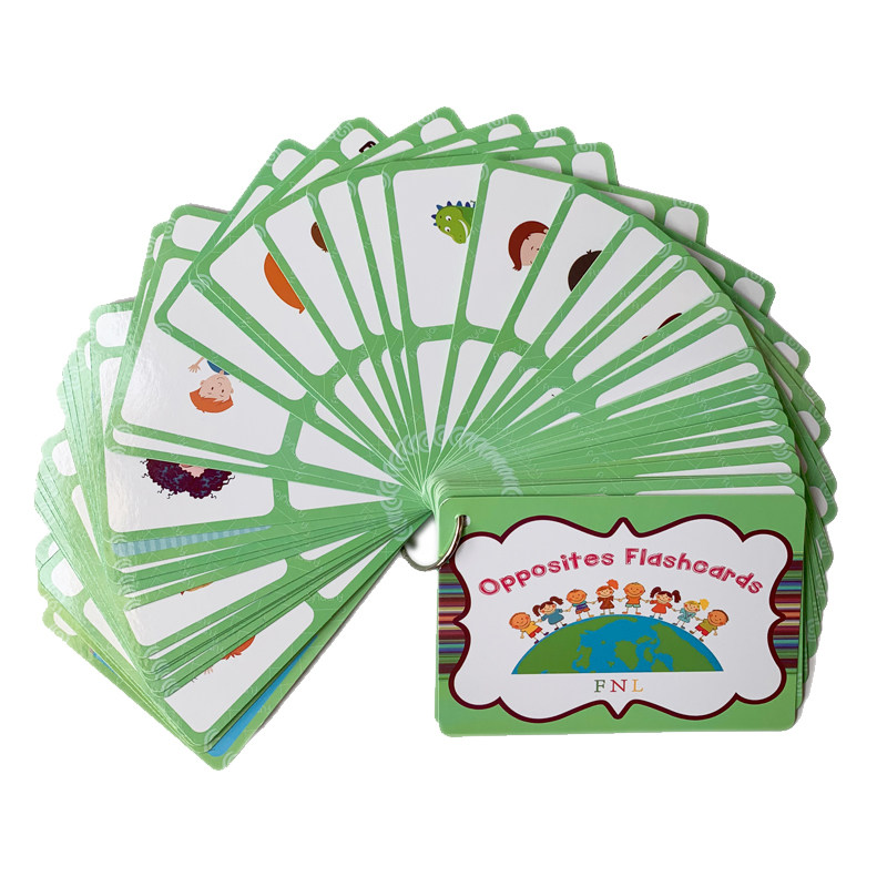 The 100 Groups Opposites Flash - Kids Toys Learning ulasan dan harga