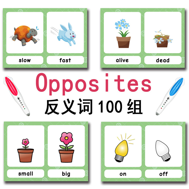 The 100 Groups Opposites Flash - Kids Toys Learning ulasan dan harga