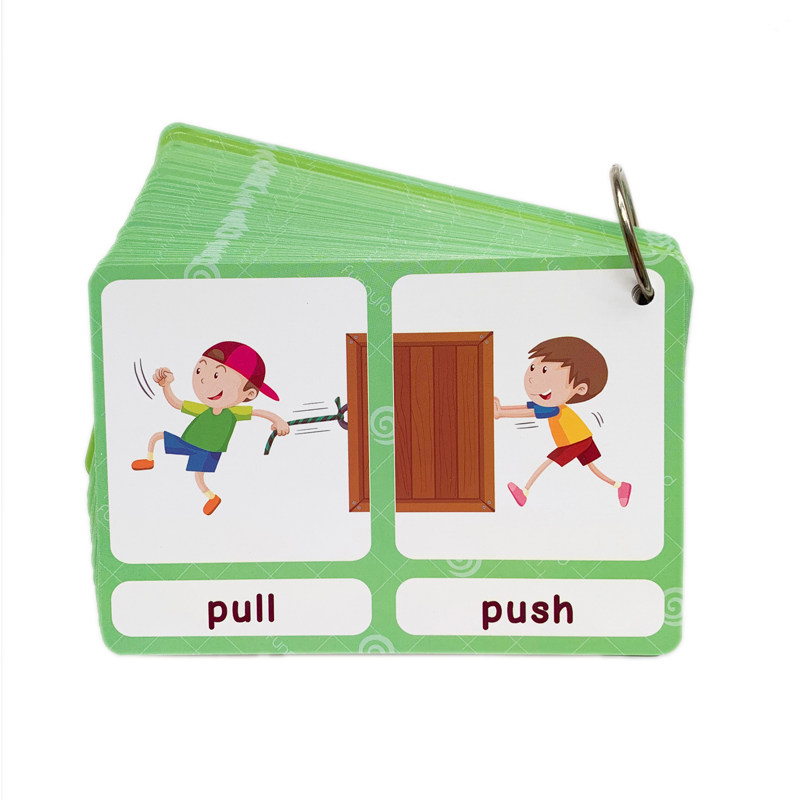 The 100 Groups Opposites Flash - Kids Toys Learning ulasan dan harga