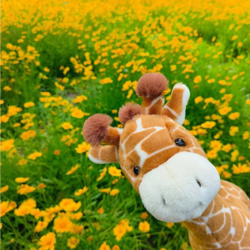 Very Soft Giraffe Plush Toy Fo - Kids Toys Very ulasan dan harga